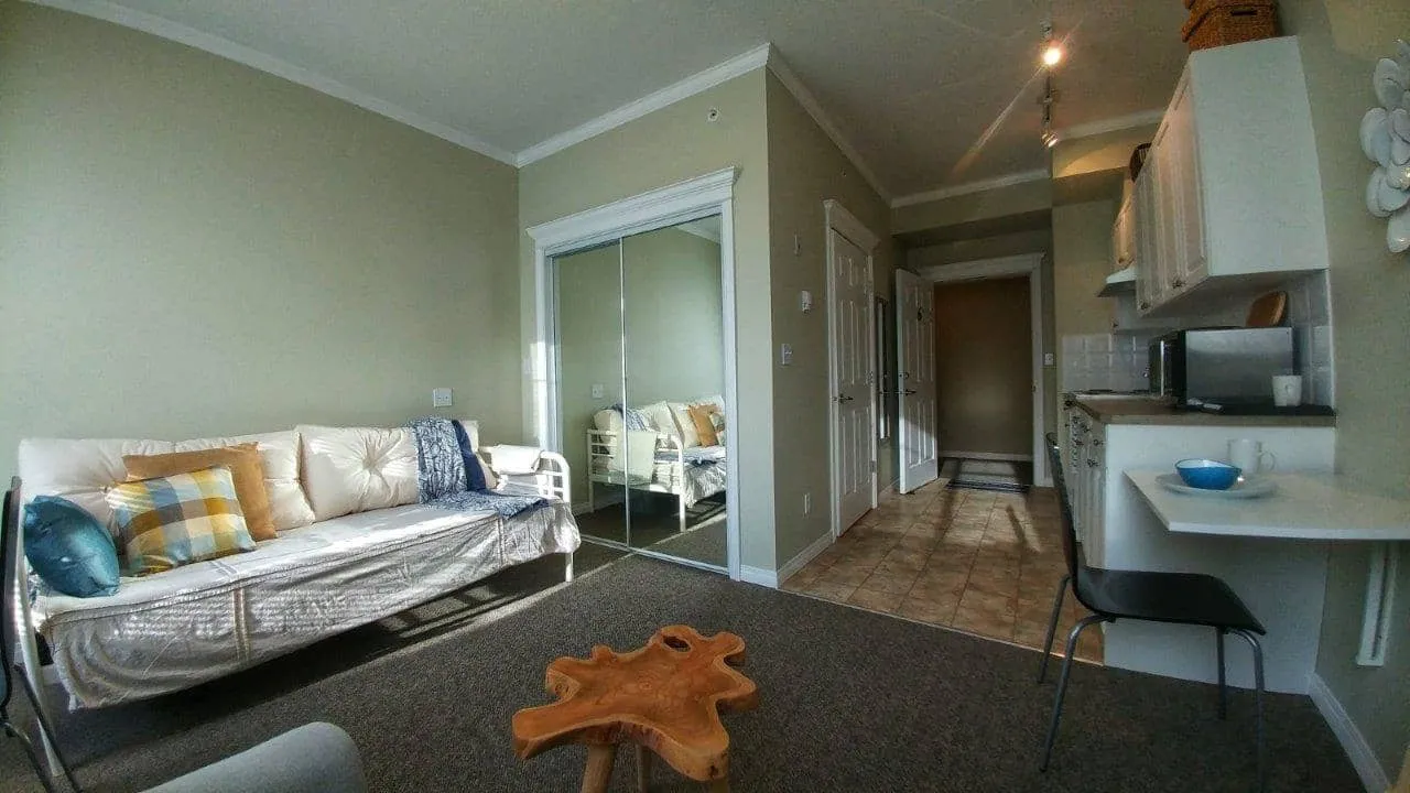 A furnished apartment living area with a sofa, kitchenette and hallway